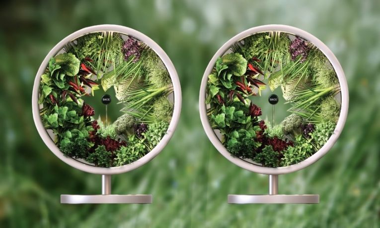 BACE Rotofarm: A revolution in Indoor Gardening